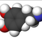 Dopamine