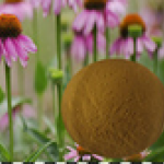 Echinacea Herb P.E