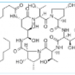 Echinocandin B