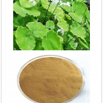 Epimedium Extract