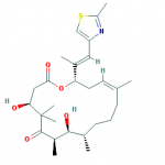 Epothilone D