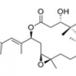 Epothilone