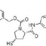 Ertapenem side chain