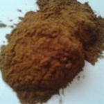 Eyebright Extract