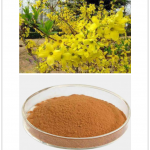 Forsythia Extract