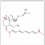 Fumagillin