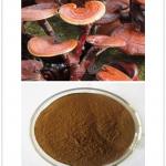 Ganoderma lucidum Extract