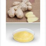 Ginger Root Extract