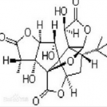 Ginkgolide B