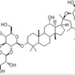 GinsenosideRd