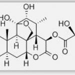 Glaucarubin