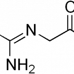 Glycocyamine