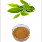 Green Tea Poiyphenols