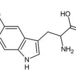 Griffonia Seed Extract