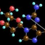 Guanine