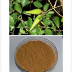 Gymnema sylvestre extract