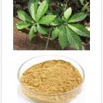 Gynostemma Pentaphyllum Extract