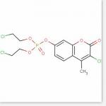 Haloxonum