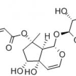 Harpagoside