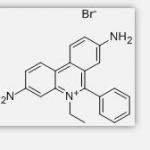 Homidium Bromide