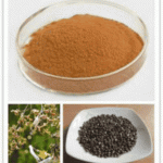 Hovenia Dulcis Thunb extract