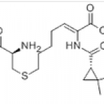 Imipenem and Cilastatin Sodium