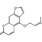 Isoimperatorin