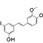 Isorhapontigenin