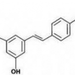 Japanese knotweed extract