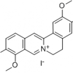 Jatrorrhizine