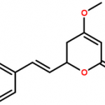 Kava Extract