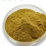 Knotgrass (polygonum aviculare) extract