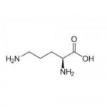 L-Ornithine Monohydrochloride