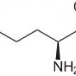 L-Ornithine