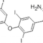 L-Thyroxine