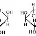 L-rhamnose monohydrate