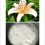 Lily bulb extract