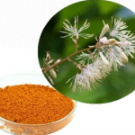 Macleaya cordata Extract