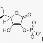 Magnesium ascorbyl phosphate