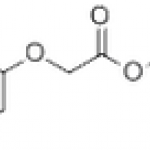 Meclofenoxate