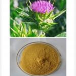 Milk Thistle Extract