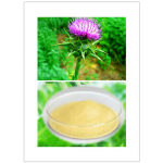 Milk Thistle seed extrac