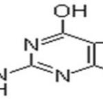 N-2-Acetylguanine