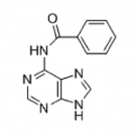 N6-Benzoyladenine