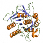 Nattokinase