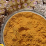 Natural Cistanche deserticola extract