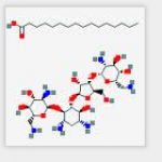 Neomycin Palmitate