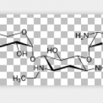 Netilmicin