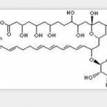 Nistatin