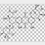 Nogalamycin